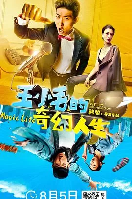 王小毛的奇幻人生海报