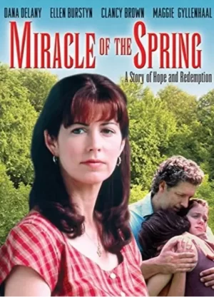 说谎者的守护神海报