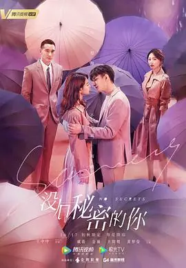 没有秘密的你海报
