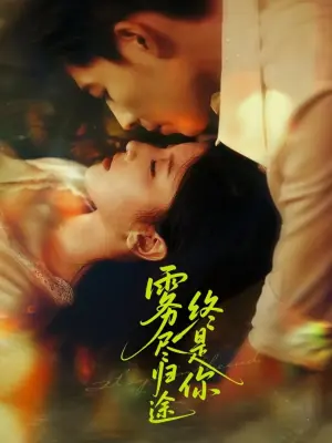 雾尽归途终是你海报