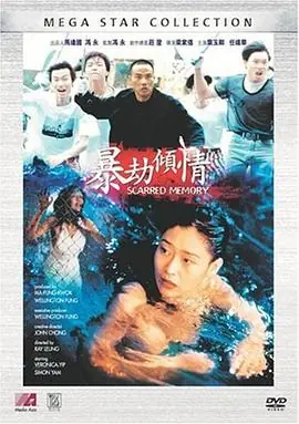 暴劫倾情暴劫傾情海报