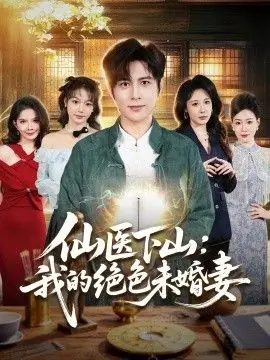 仙医下山:我的绝色未婚妻海报