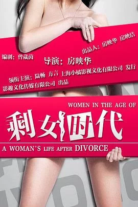 剩女时代海报