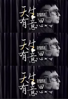 天生有意思海报