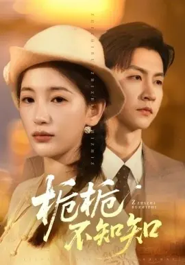 栀栀不知知海报