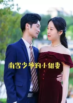 南宫少爷的小甜妻海报