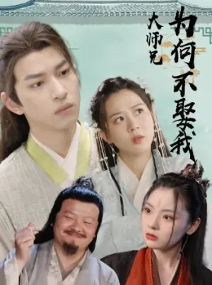 大师兄为何不娶我海报