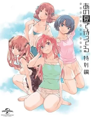 在盛夏等待特别篇海报