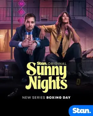 阳光灿烂的夜晚海报