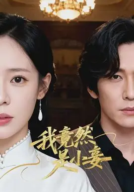 我竟然是小妾海报