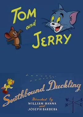 南飞的鸭子[电影解说]海报