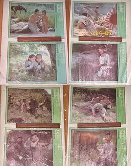 二小放牛郎海报