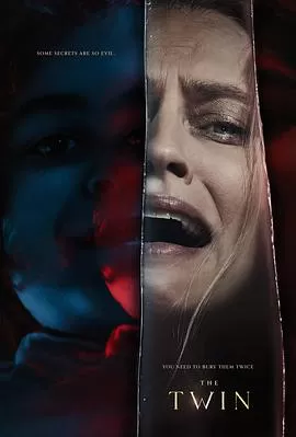 致命孪生海报