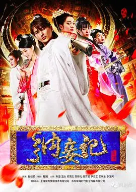 纳妾记第一季海报