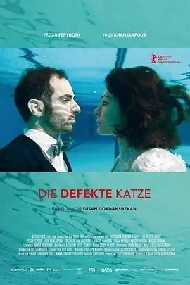 功能失常的猫DiedefekteKatze海报