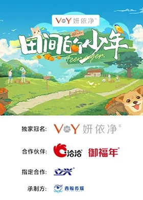 田间的少年海报