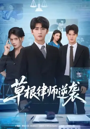 草根律师逆袭海报