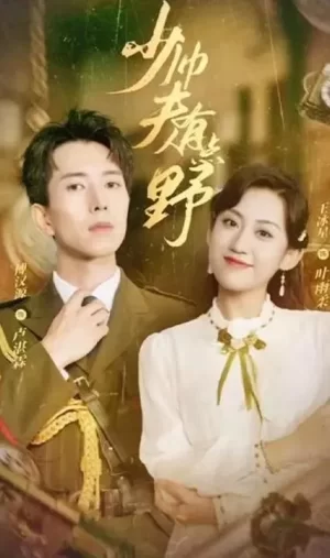 少帅夫人有点野海报