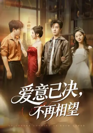 爱意已决不再相望海报