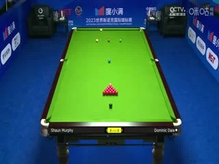 斯诺克天津国锦赛64进32肖恩&middot;墨菲3-6多米尼克&middot;戴尔20231106海报
