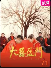 大喜盈门(国语)海报