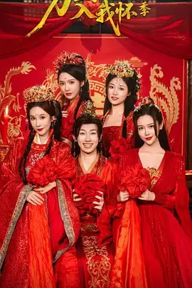 万里江山入我怀2海报