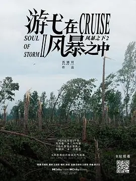 游弋在风暴之中海报