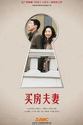 买房夫妻海报