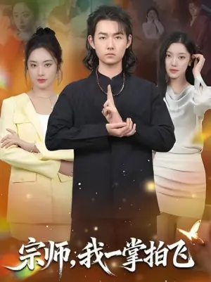 宗师,我一掌拍飞海报