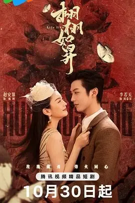 栩栩如昇海报
