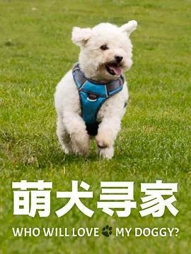 萌犬寻家第一季海报