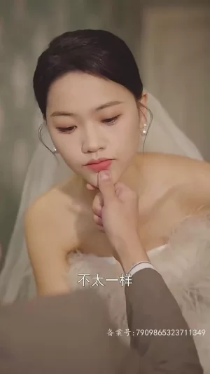 替嫁新娘之爱无悔海报