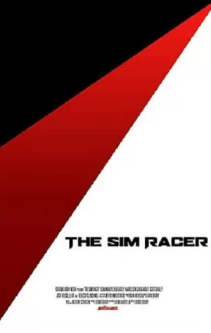 模拟赛车手海报