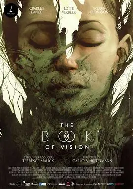 幻觉之书TheBookofVision海报