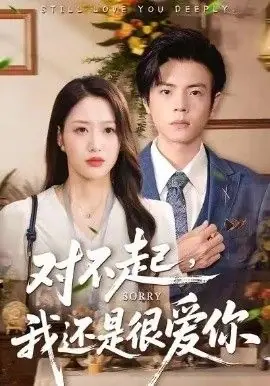 对不起,我还是很爱你海报