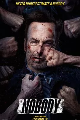 小人物Nobody[电影解说]海报