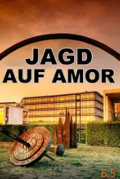 寻找丘比特海报