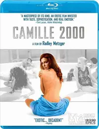 茶花女2000海报