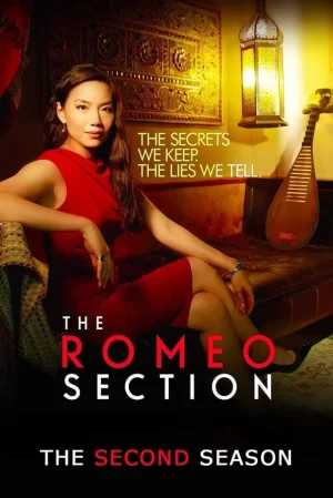 罗密欧间谍第二季海报