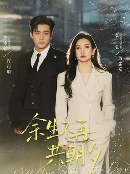 余生不再共朝夕海报