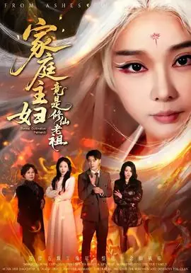 家庭主妇竟是修仙老祖海报