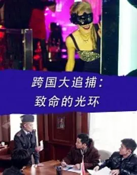 跨国大追捕:致命的光环海报