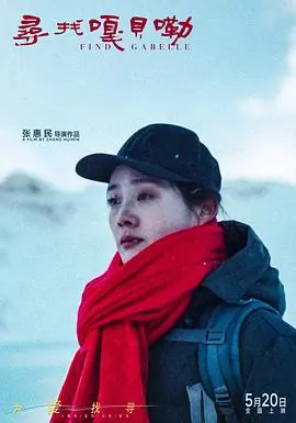 寻找嘎贝勒海报