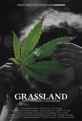 草叶之下海报