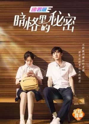 暗格里的秘密速看版海报