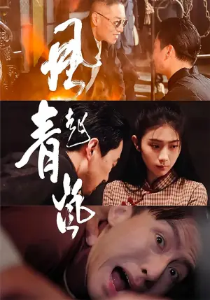 风起青岚海报