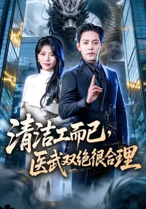 清洁工而已,医武双绝很合理海报