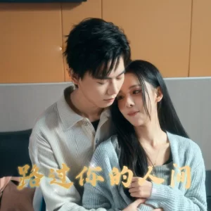 路过你的人间海报