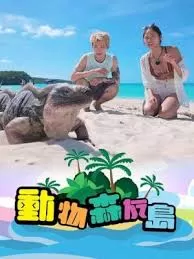 动物森友岛海报