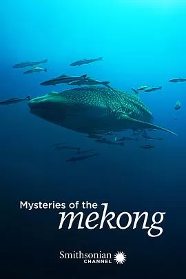 湄公河之谜海报